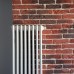 Трубчатый радиатор отопления Zehnder Charleston 3180 вертикальный с нижним подключением ТВВ