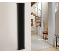 Трубчатый радиатор отопления вертикальный Zehnder Charleston 3180 боковое подключение, чёрный